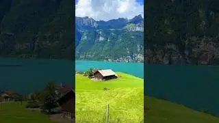 📍Walensee, Switzerland 🇨🇭Follow me for daily Swiss Content 🇨🇭