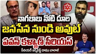 నాగబాబు నోటి దూల | BIG Shock to Nagababu | Pawan kalyan Serious On Nagababu | Daamu Balaji |REd Tv