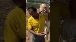 Mother Love