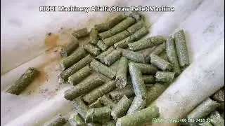 RICHI Grass Pellet Machine &mdash; High efficiency, low cost, built to last.