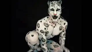 Snow Leopard photo session