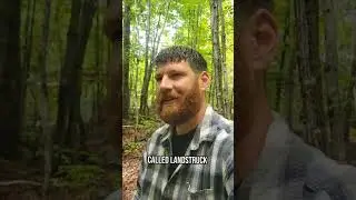 Off Grid Owner Financed Land at Landstruck.com #offgridliving #alternativeliving #homesteading