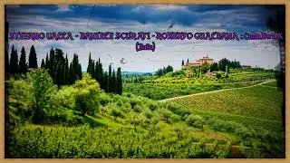STEFANO VALLA - DANIELE SCURATI - ROBERTO GUALDANA. Canta Bertas. (Italie)