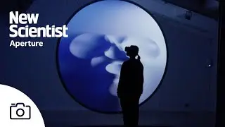 Can art help scientists better understand the quantum universe?