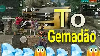 Gugurambo To GemaD&atilde;o