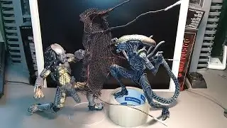 Review! Grid vs Celtic: Rivalry Reborn, AvP, 2-pack by Neca!