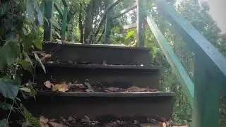 Dulali Dara Eco Park Canopy