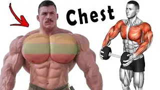 8  Best Effective Exercises To Build A Perfect Chest Fast 🚀🚀🚀