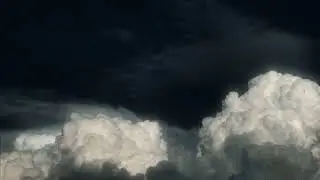 سورة الملك | أحمد بن طالب 