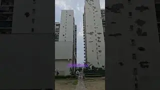 Sector 77 Noida Forest
