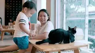Power at Makura Cat Cafe - December 8, 2018