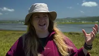 Protecting Knysna&rsquo;s Seagrass: A Nature-Based Solution to Pollution