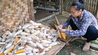 Single mother helps landlord harvest corn and gets supplies