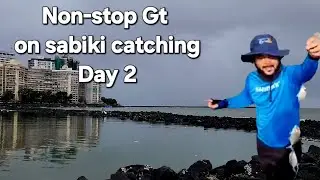 Day 2 Trevally Fishing Season in Mumbai | Sabiki  Spinning Action | RM Sunday Fishing | rock fishing