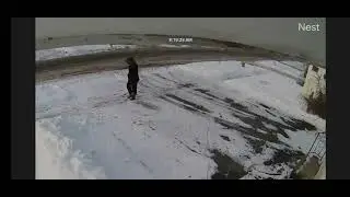 12/6/25 Neighbor dogs peeing by my house and window 8:06 & 8:17 loose_another view 