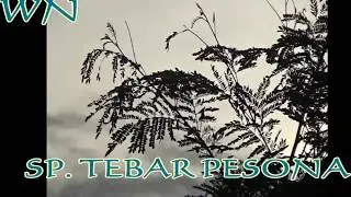 TESTING SUARA PANGGIL WALET 