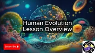 Human Evolution - Lesson Overview Key Concepts Discussion Study Tool - Audio