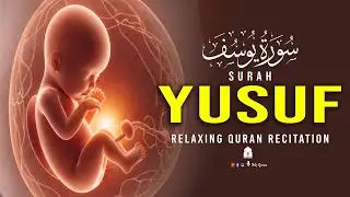 SURAH YUSUF سورة يوسف - Most Heart Touched Recitation | Pregnant Mother, Must Listen Daily Up