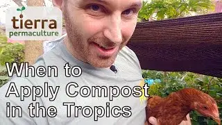 When to Apply Compost in the Tropics | Weekly Update | Tropical Permaculture Homestead