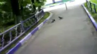 MOV00774