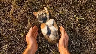 He Cried For Help and Couldn't Move Until Someone Finally Heard Him