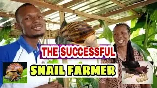 THE SUCCESSFUL SNAIL FARMER/ SUCCESS STORY