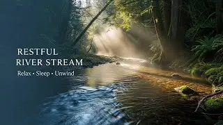 Serene Forest Ambience with Flowing Water Sounds for Sleep Study Meditation and Inner Peace