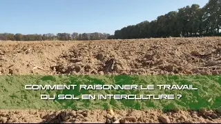 comment raisonner le travail du sol en interculture ?