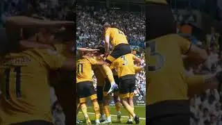 That time Nathan Collins thought he could fly😆