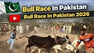 Bull Race In Pakistan | Bull Race In Pakistan2026 | JELSA BAIL DOOR | Bail Race #BullRacelnPakistan 