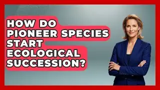 How Do Pioneer Species Start Ecological Succession? - Explaining Ecology