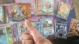 What I got from Cardshops and Cardshows