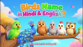 🐦Birds Name in Hindi and English for Kids | पक्षियों के नाम सीखें | Learn Bird Names with Pictures
