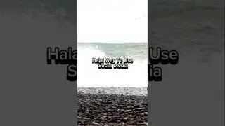 Halal Way To Use Social Media #shorts #fyp #viral  #2026 #muslim #quotes