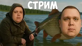 💛 РР4 СТРИМ / ТЕСТ РАПТОРА 20 НА НОРВЕЖСКОМ МОРЕ, завтра снимаю ДЖАМШУТА!!!