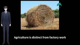 Can Foreigners Work on Farms in Japan? The Real Situation (Episode 1)