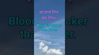 Daily used Proverbs/প্রবাদ/Bengali Proverbs in English #spokenenglish