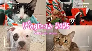 Vlogmas 2025 day 2 | Behind the scenes of a Vet Clinic Assistant 