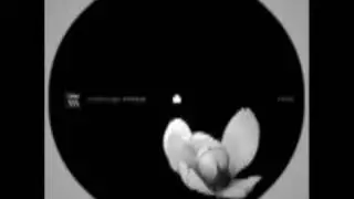 Jonas Kopp - Alkitran (Original)