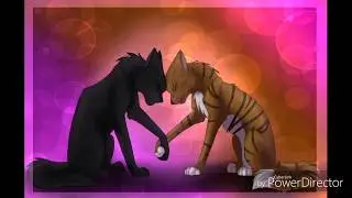 Blattsee & Krähenfeder 💗 (Achtung spoiler bis Staffel 3!!)
