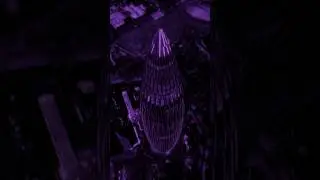 love nwantiti - ckay | lyrics | aesthetic | Whatsapp status | English songs | slowed | speed up#edit