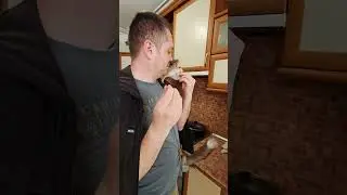 Как заставить человека дать тебе лакоммтво? #белкавдоме