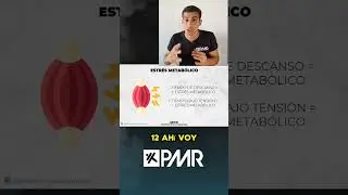 🦠Estr&eacute;s Metab&oacute;lico- HIPERTROFIA#culturismo #gym #entrenamiento #hipertrofia #halterofilia