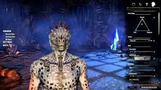 Elder Scrolls Online! ESO! Gameplay+Commentary! #1 (The very first Yoooo)