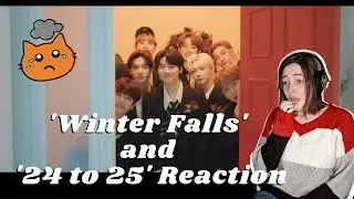 Reaction to Stray Kids - 'Winter Falls' & '24 to 25' MV