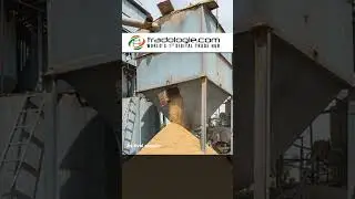 Prices Of Parboiled Rice Surge 12% As Global Demand Picks Up