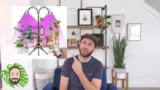 DIY Pipe Shelves for Plants