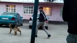 Акай Эрач Братанчон Бо сагаш Апшага Блог 13