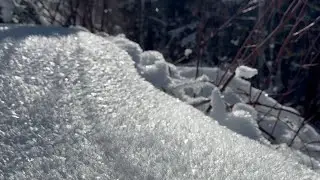 'Hoar Frost!' - Enchanting sight of delicate ice crystals cosplaying as 'broken glass' || WooGlobe