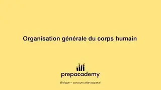 Organisation générale du corps humain
